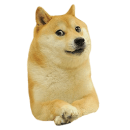 profileIcon_nif0fsxfn4w21